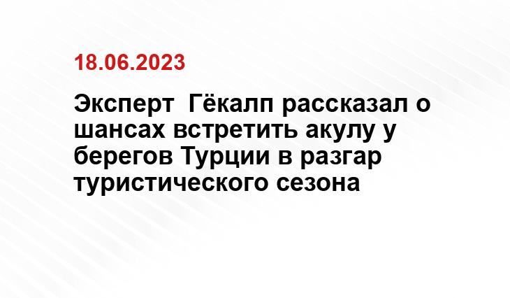 Эксперт  Гёкалп рассказал о шансах встретить акулу у берегов Турции в разгар туристического сезона